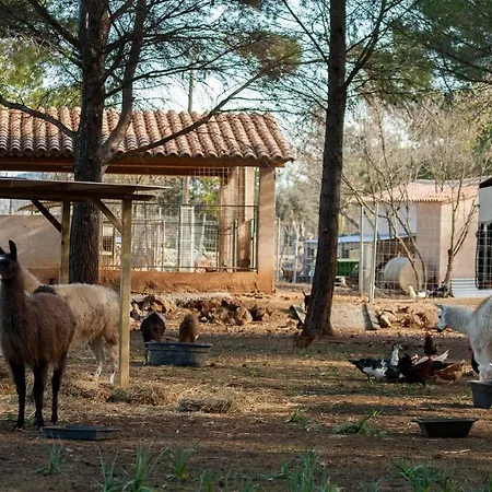Βίλα Llamas Pollença